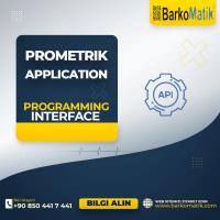 PROMETRİK APPLICATION PROGRAMMING INTERFACE(YILLIK $)